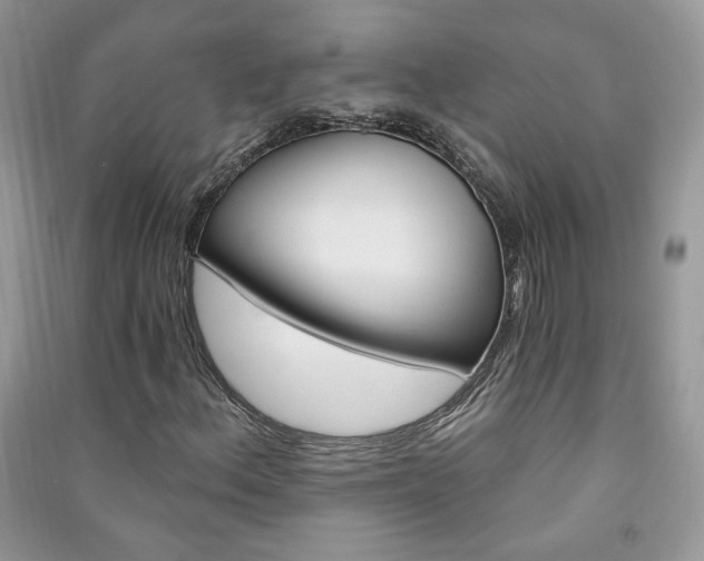 X0000091291156200708101240