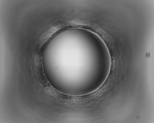 X0000091291157200708101240