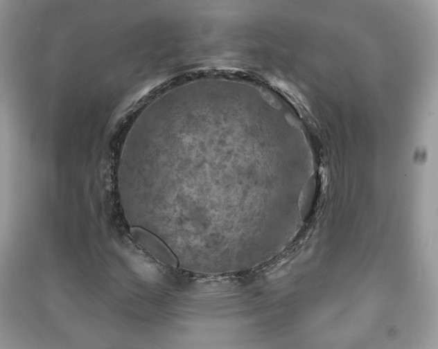 X0000091291159200708101240