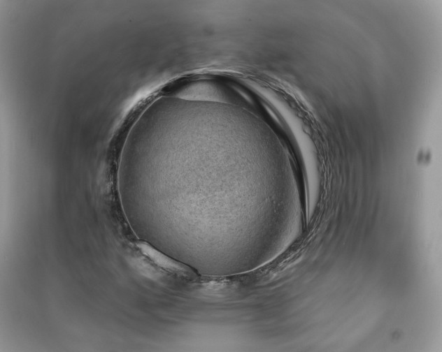 X0000091291160200708101240