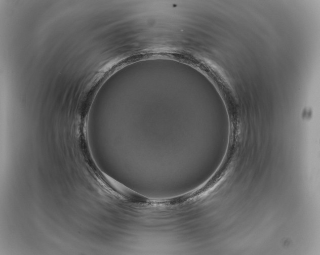 X0000091291161200708101240