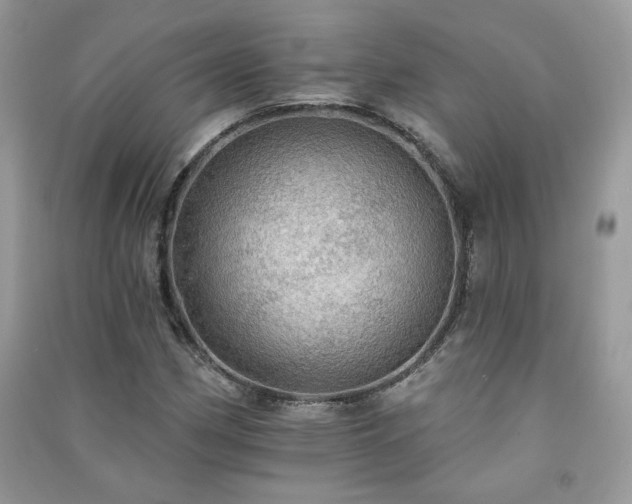 X0000091291162200708101240