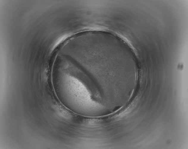 X0000091291163200708101240