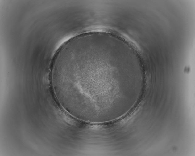 X0000091291166200708101240