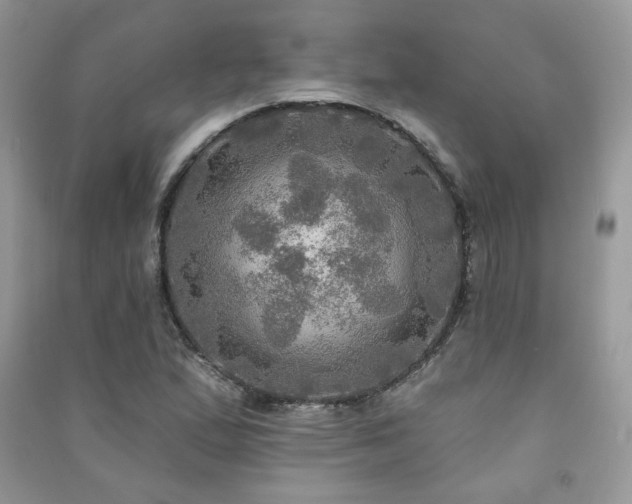 X0000091291167200708101240