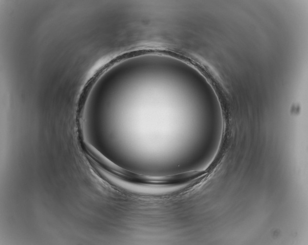 X0000091291168200708101240