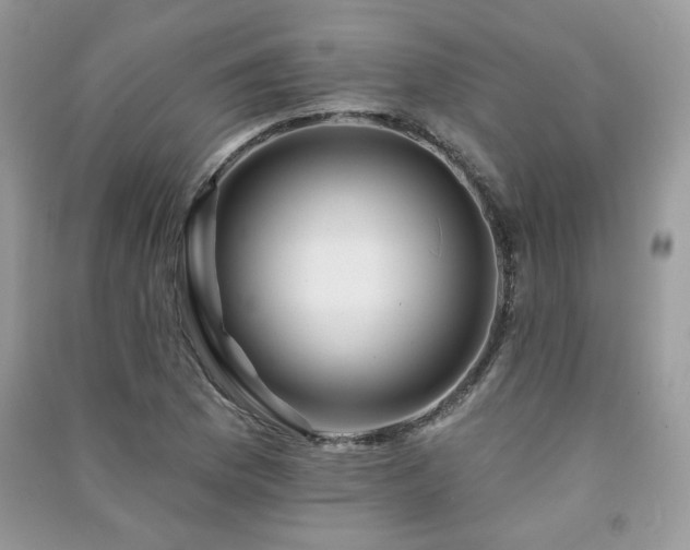 X0000091291169200708101240