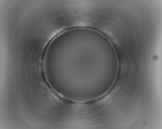 X0000091291170200708101240