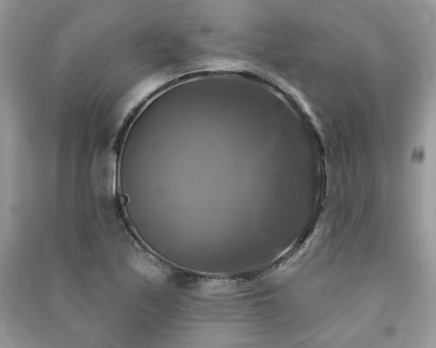 X0000091291171200708101240