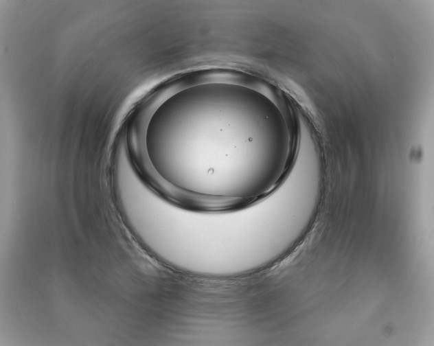 X0000091291172200708101240