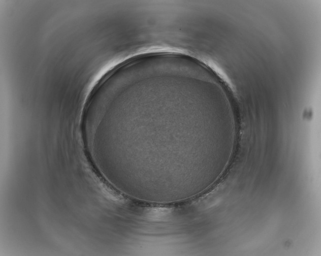 X0000091291173200708101240