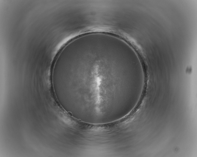 X0000091291174200708101240