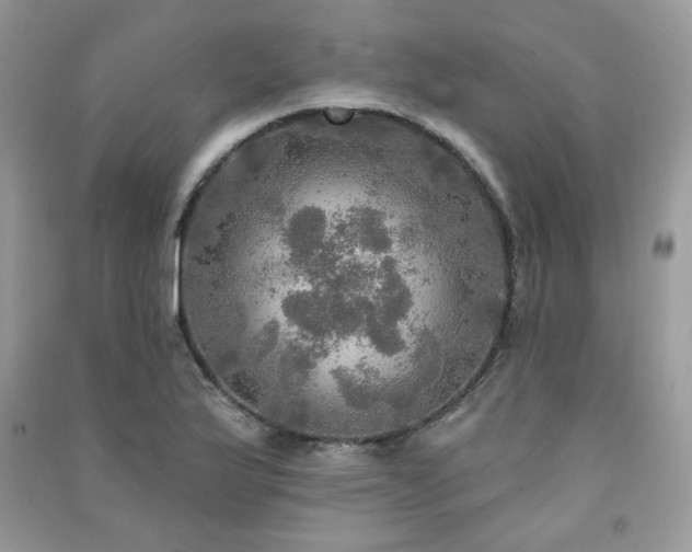 X0000091291175200708101240