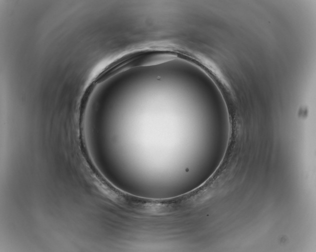 X0000091291176200708101240