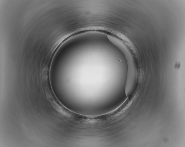 X0000091291177200708101240