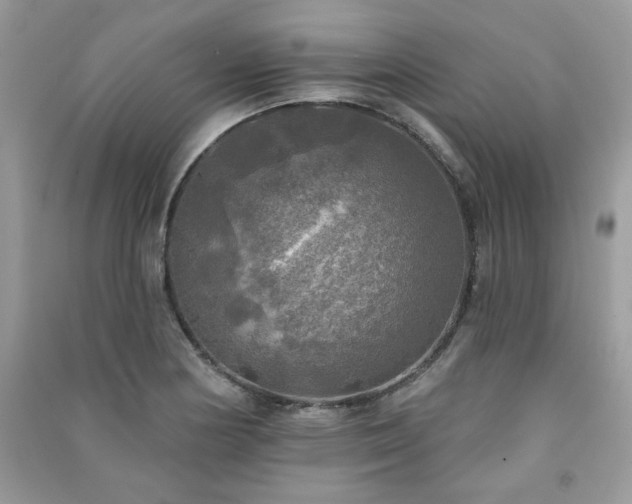 X0000091291178200708101240