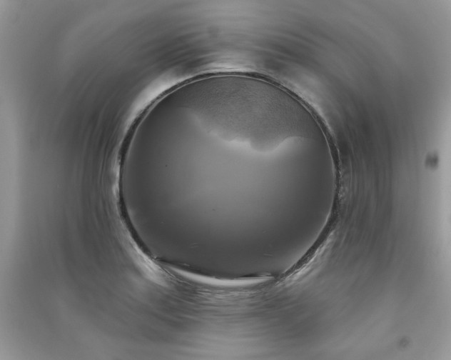 X0000091291179200708101240