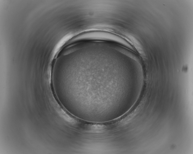 X0000091291180200708101240