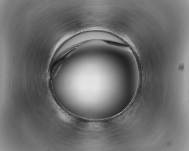 X0000091291181200708101240