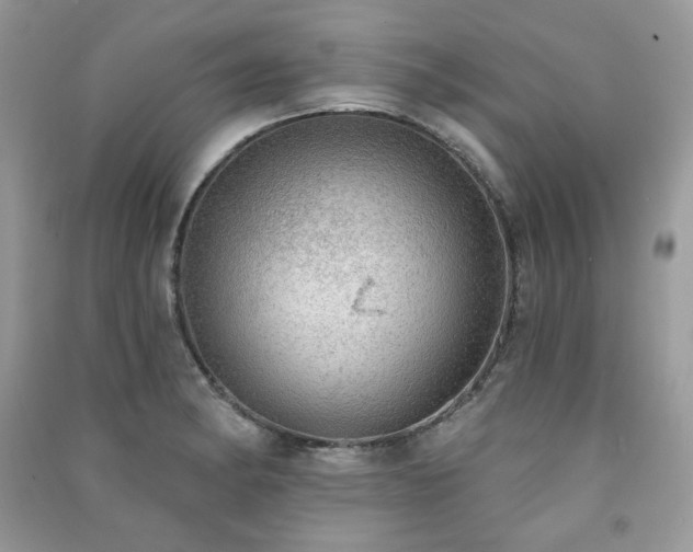 X0000091291182200708101240