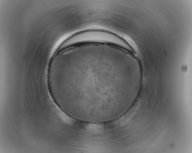 X0000091291183200708101240