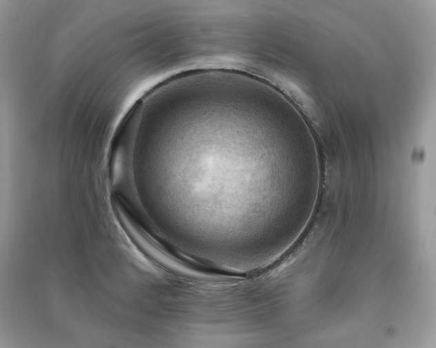 X0000091291184200708101240