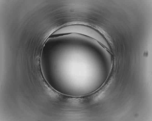 X0000091291185200708101240