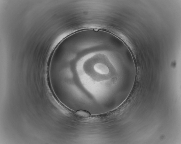 X0000091291187200708101240