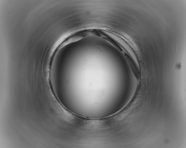 X0000091291188200708101240