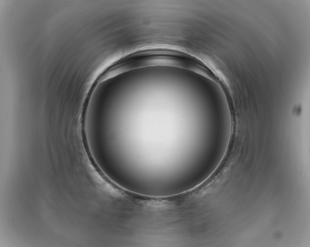 X0000091291189200708101240