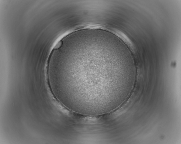 X0000091291190200708101240