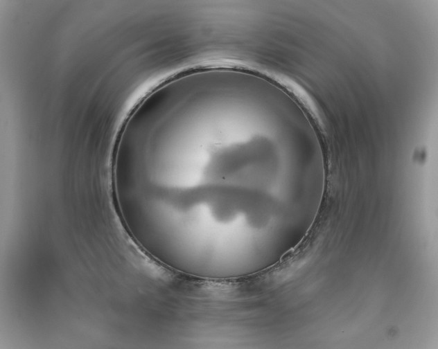 X0000091291191200708101240