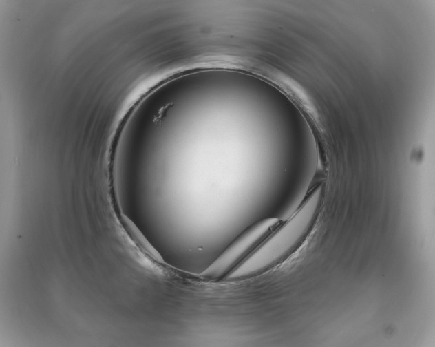 X0000091291192200708101240