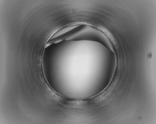 X0000091291193200708101240