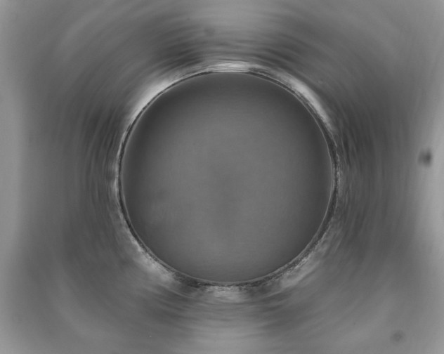 X0000091291194200708101240