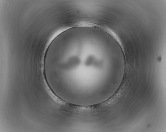 X0000091291195200708101240