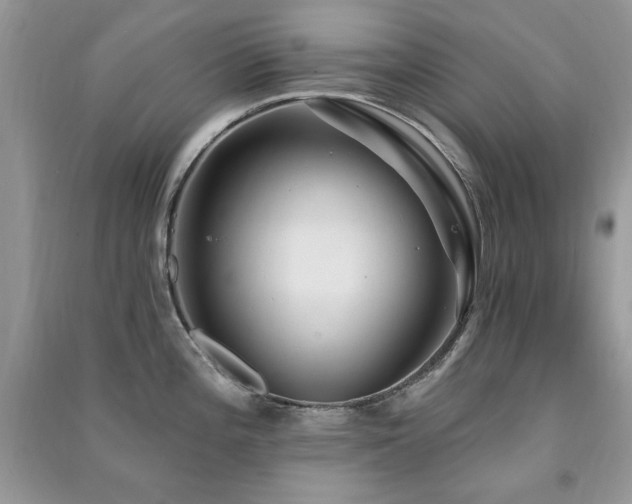 X0000091291196200708101240