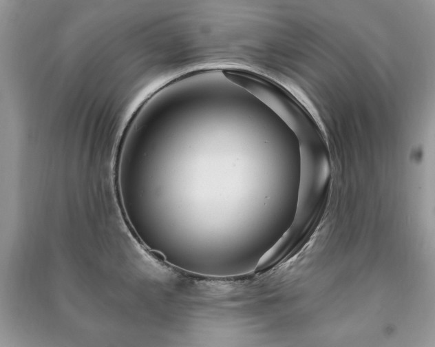 X0000091291197200708101240