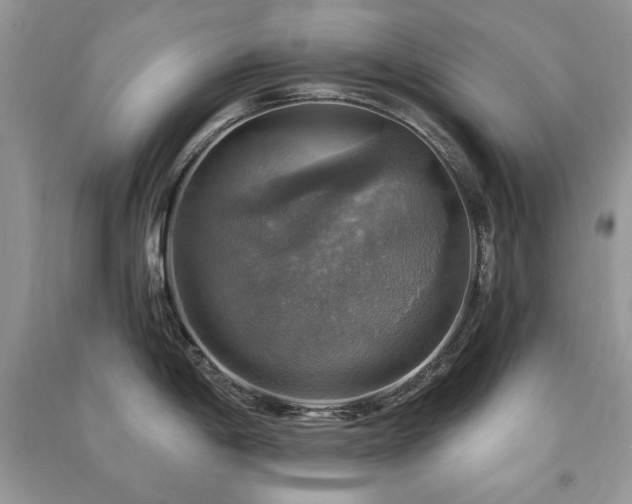 X0000091291198200708101240