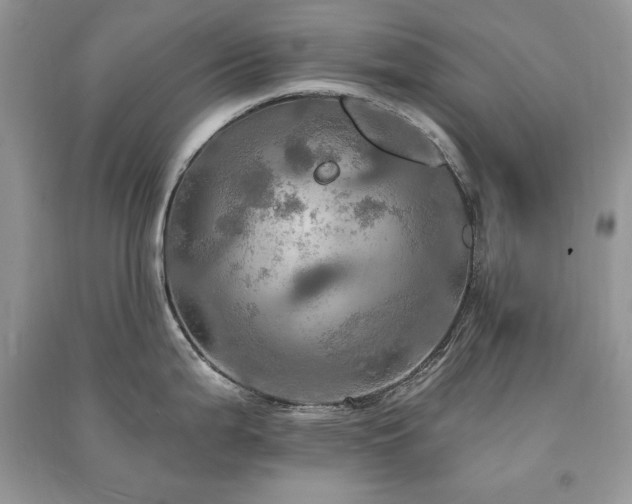 X0000091291199200708101240