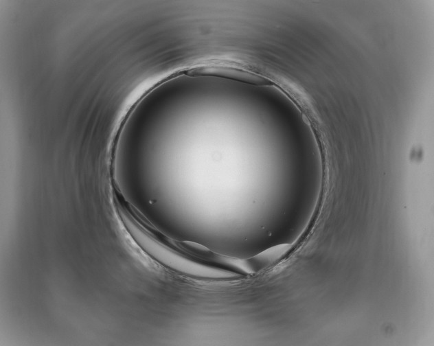 X0000091291200200708101240