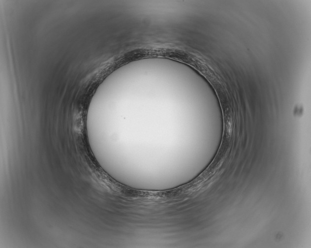 X0000091291204200708101239