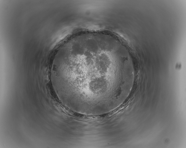 X0000091291205200708101239