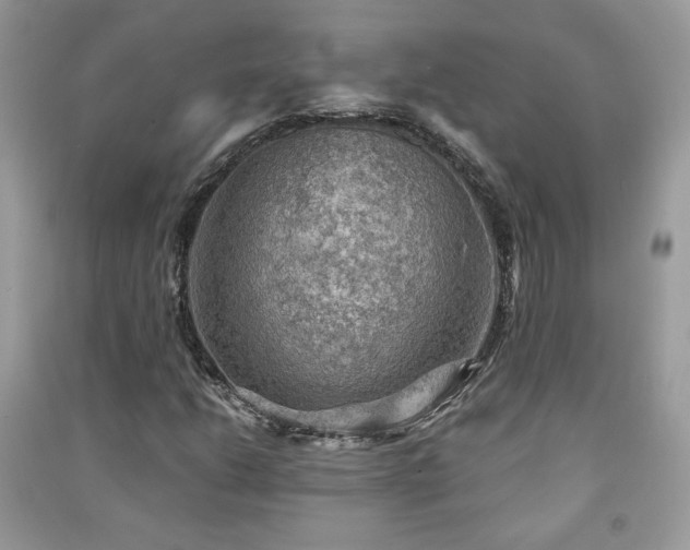 X0000091291206200708101239