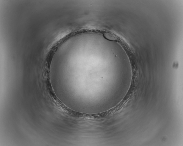 X0000091291207200708101239