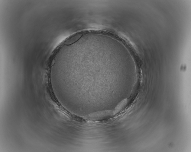 X0000091291208200708101239