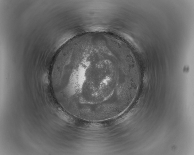 X0000091291209200708101239