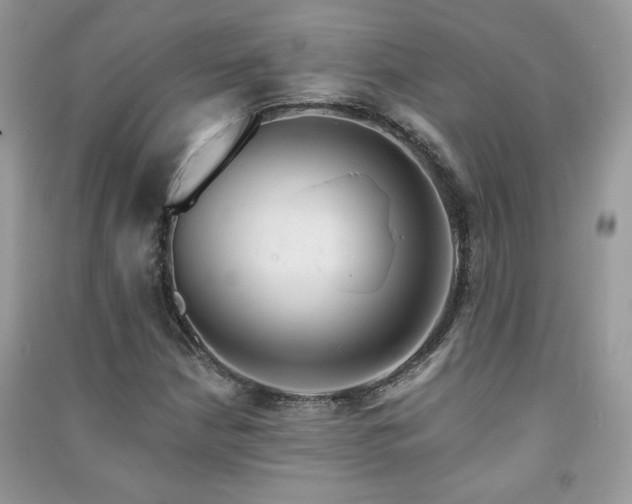 X0000091291210200708101239