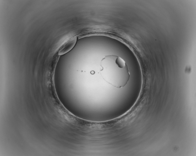 X0000091291211200708101239