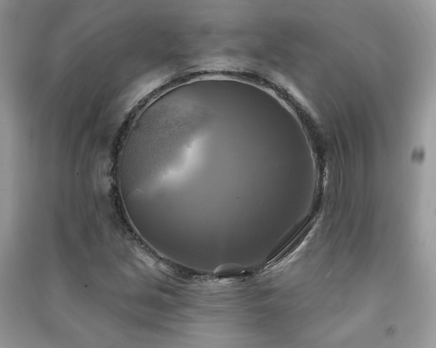 X0000091291213200708101239